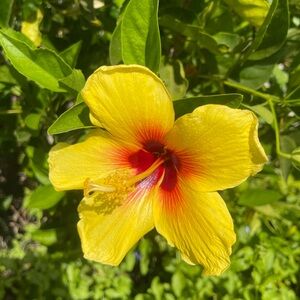 Meet your Posher, Leslie